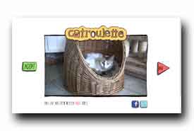 catroulette.be