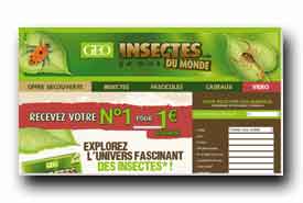 collection-insectes.fr