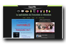 screenshot de www.easyvib.fr