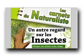 screenshot de www.cnb-namur.sitew.com/fs/Root/43k8n-carnet_insectes_refuges_2011_v2.pdf