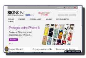 skinkin.com