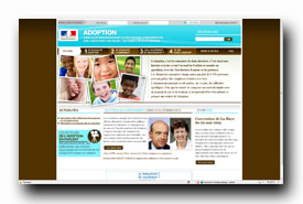 screenshot de www.adoption.gouv.fr