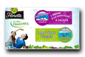 screenshot de www.lesideesfraichesflorette.com