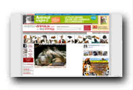 screenshot de www.photos-animaux.com