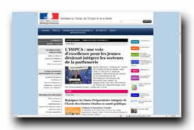 screenshot de www.travail-emploi-sante.gouv.fr