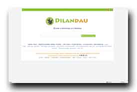 screenshot de www.dilandau.com