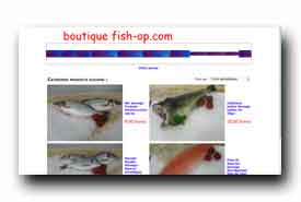 screenshot de www.fish-op.com