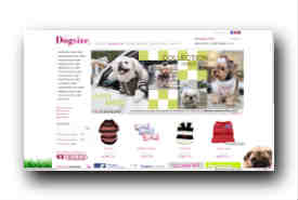 screenshot de www.dogsize.fr